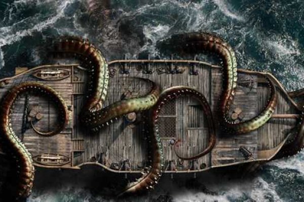 Kraken 19 at